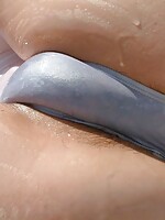 naked gang bang asian